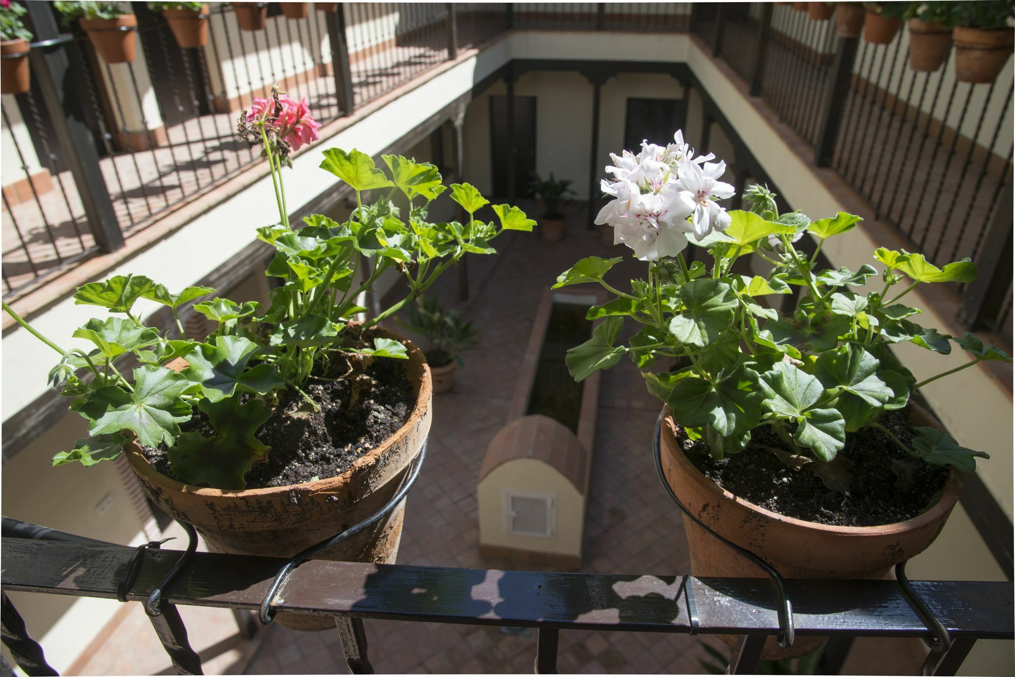 Ferienwohnung Patio De La Cartuja Sevilla Exterior foto